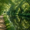 Randonnées tranquilles le long des canaux