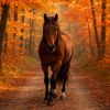 Évasion nature : balade à cheval unique