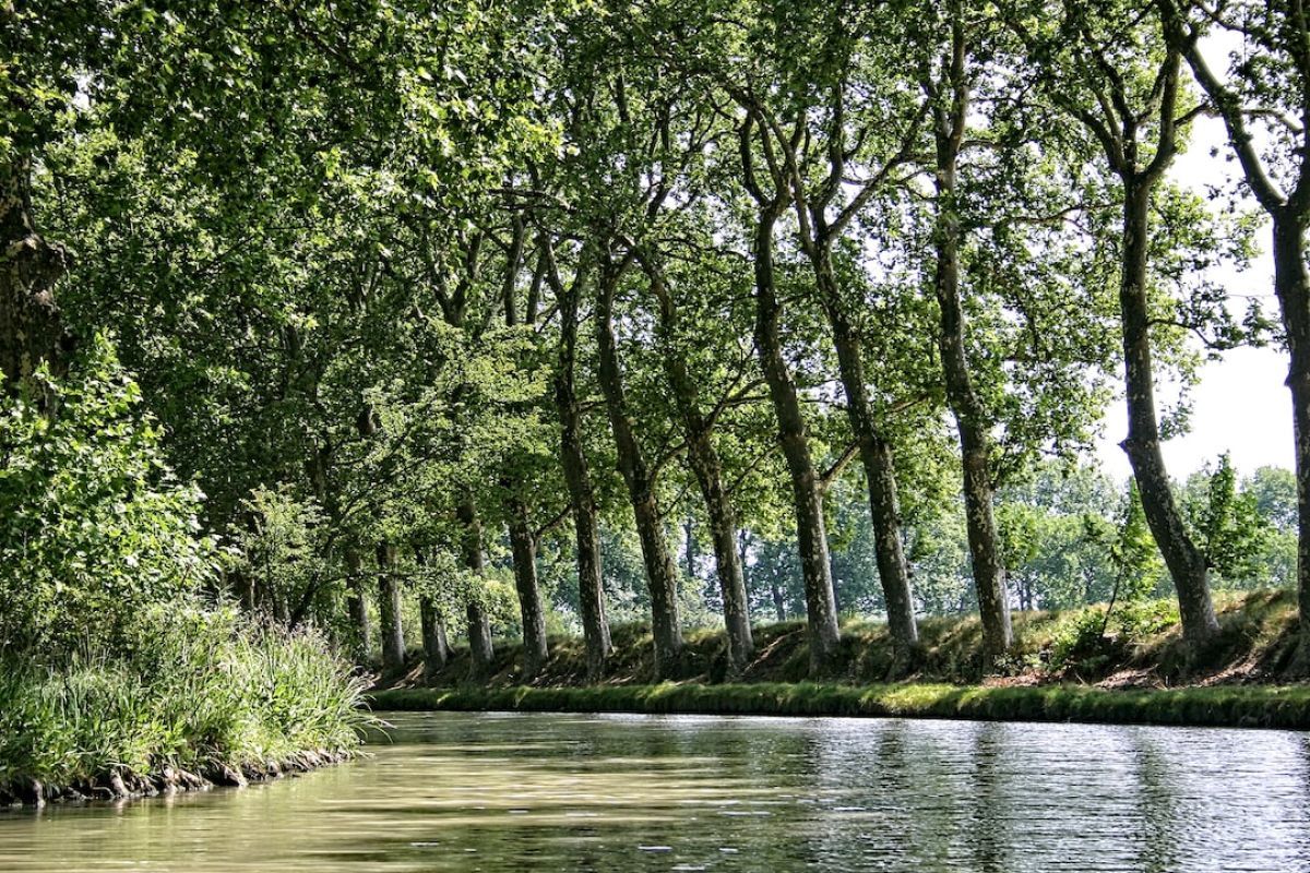 Découverte du Canal du Midi, joyau du patrimoine