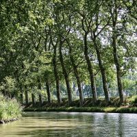 Découverte du Canal du Midi, joyau du patrimoine