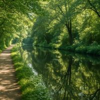 Randonnées tranquilles le long des canaux