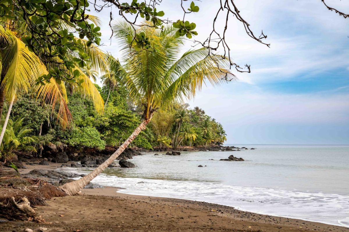 Découverte envoûtante de Marie-Galante, perle de Guadeloupe