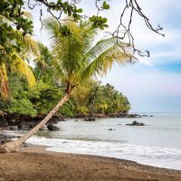 Découverte envoûtante de Marie-Galante, perle de Guadeloupe