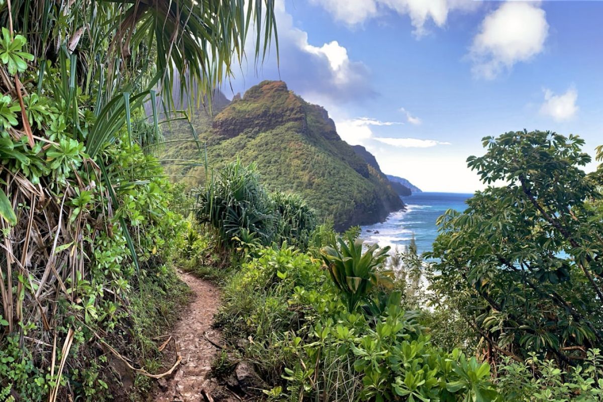 Découvrez les plus belles randonnées de Martinique