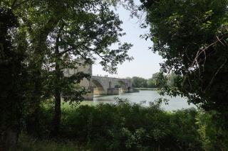 Promenade champêtre à Villeneuve, face à Avignon