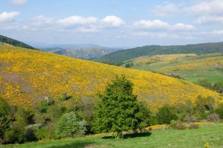 Randonnées Tarn : du Sidobre aux gorges, où marcher