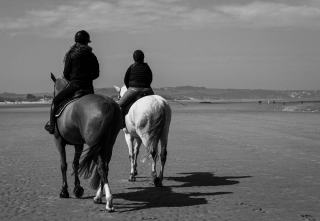 Promenade à cheval : bien choisir sa sortie